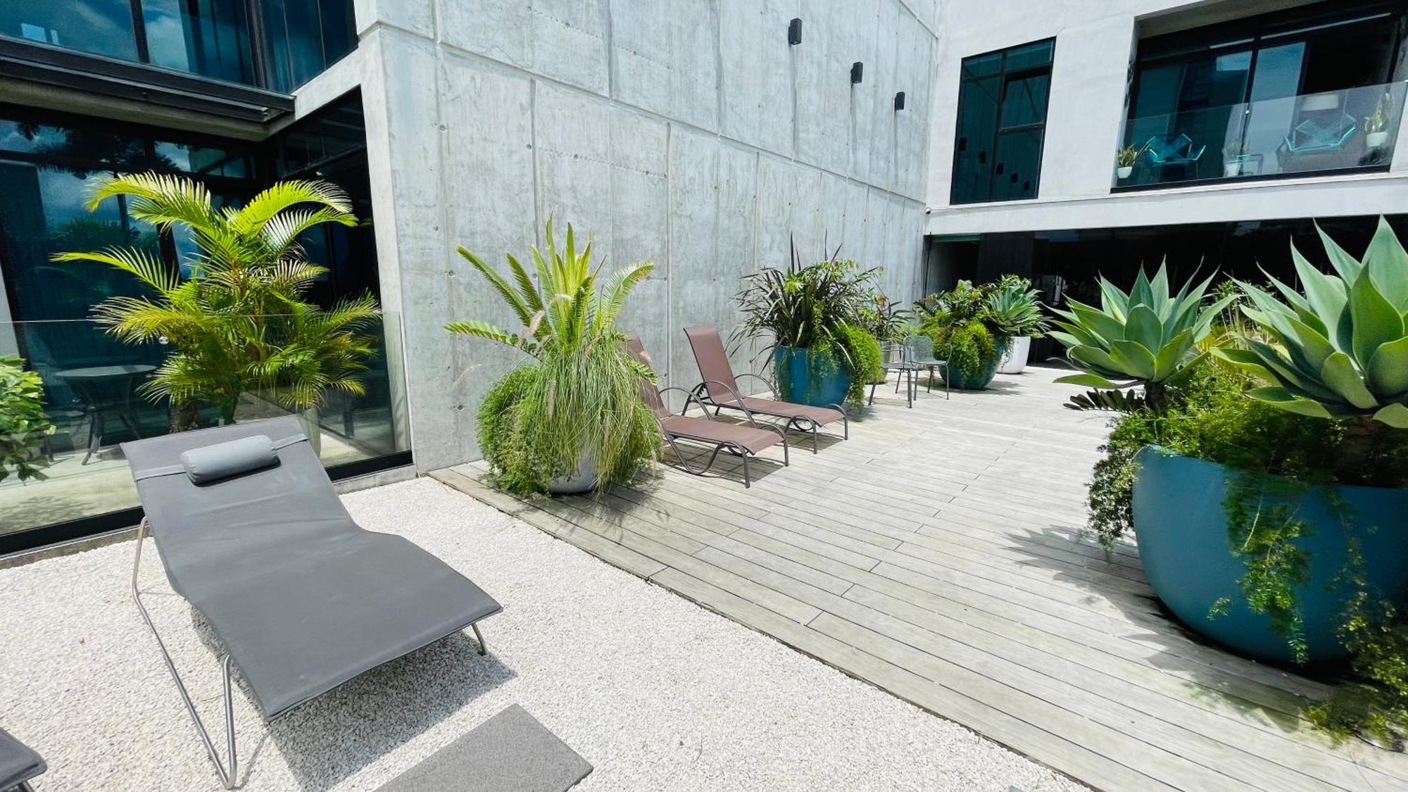 Cozy Apartment With Terrace, Sj Cosmopolitan Tower #402 San José Exteriör bild